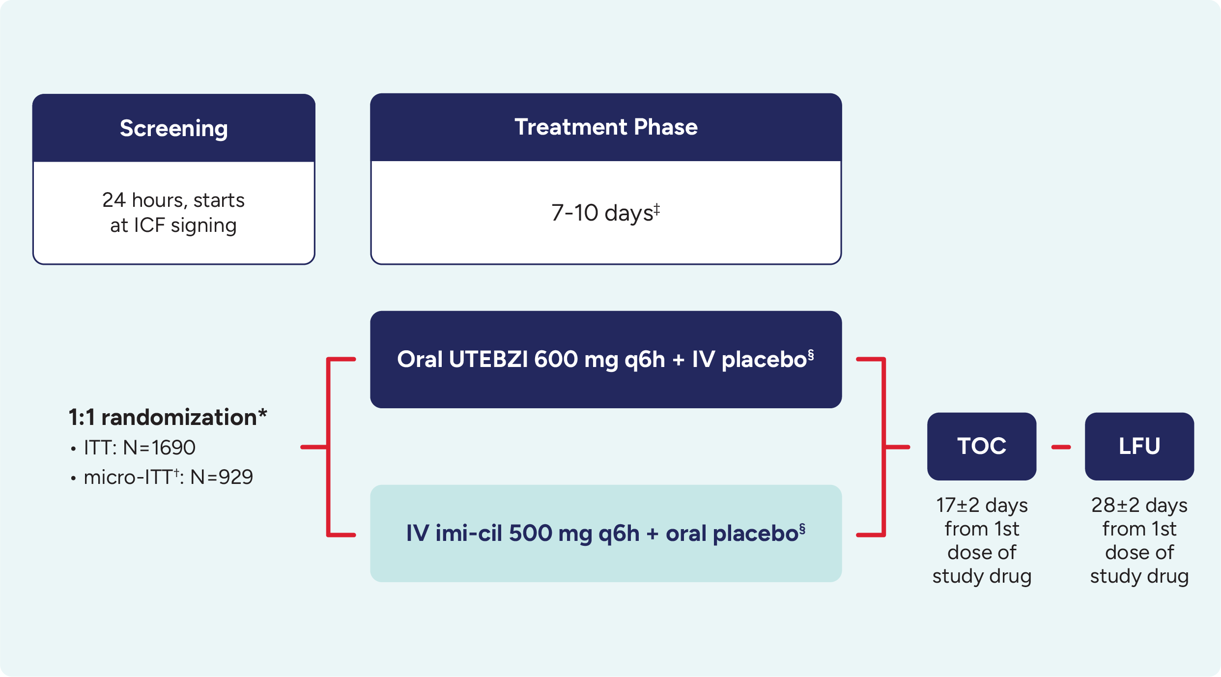 Flowchart of the PIVOT-PO phase 3 clinical trial design for UTEBZI including screening, treatment, TOC and LFU phases. Flowchart of the PIVOT-PO phase 3 clinical trial design for UTEBZI including screening, treatment, TOC and LFU phases.